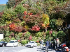 s_IMGP0447s.png